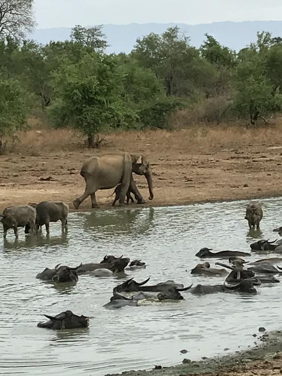 Dinesh Safari Homestay Удавалаве Экстерьер фото